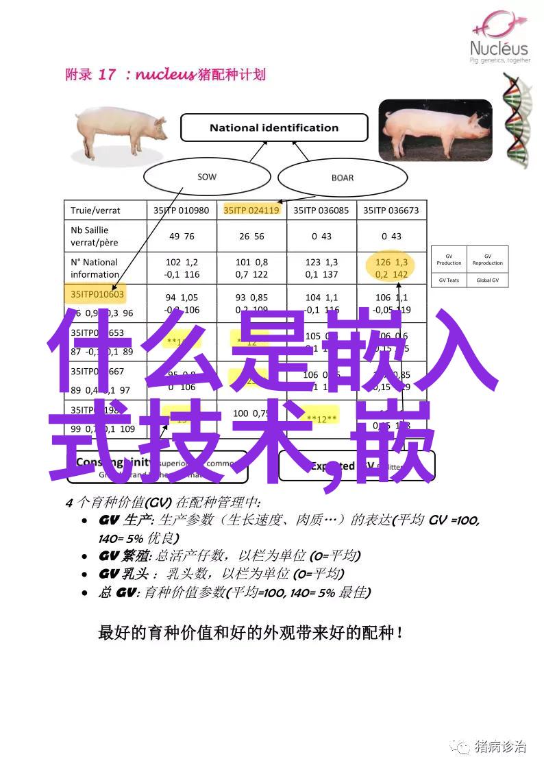 什么是嵌入式操作系统arm工控机中它扮演什么角色