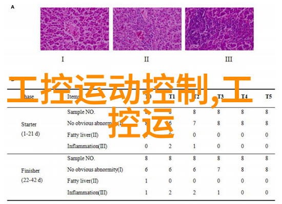 主题我来告诉你如何正确使用粉碎机设备