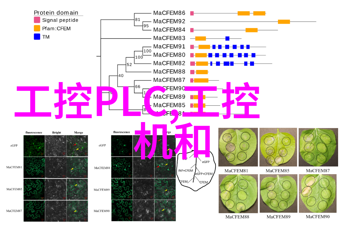 1. 嵌入式系统开发的未来方向有哪些