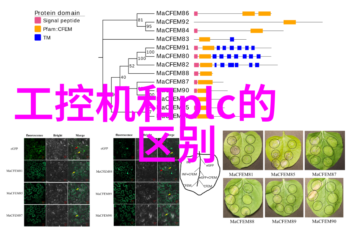 嵌入式计算机的概念我来告诉你它到底是什么玩意儿