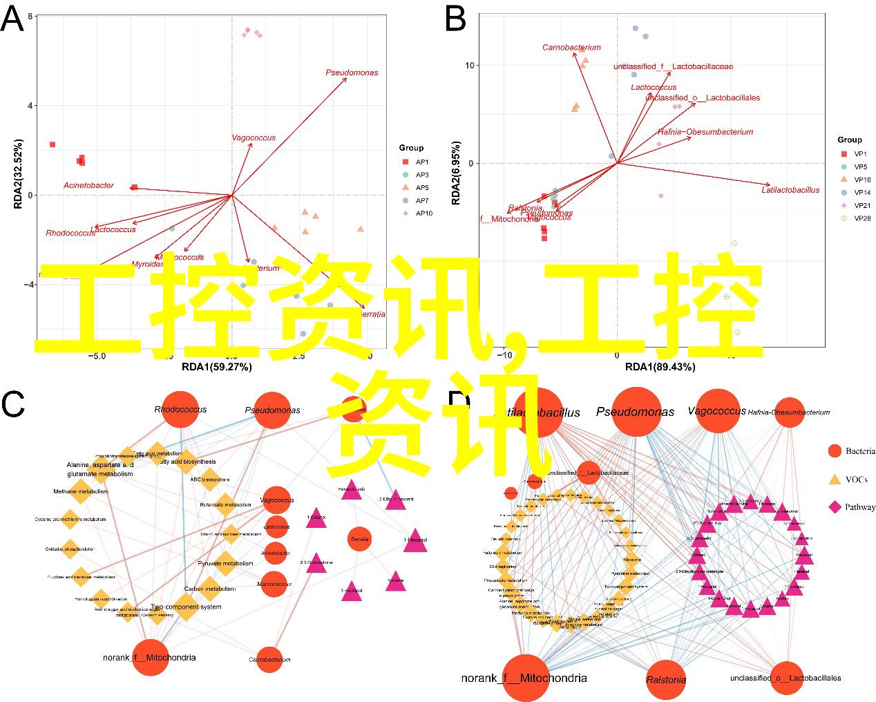 装修材料大师探索家居美学的无限可能