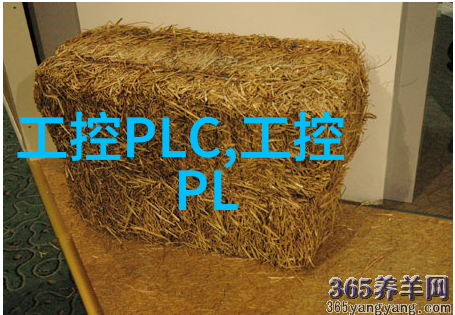 环境保护新工具塑料分离器的运作原理与应用场景