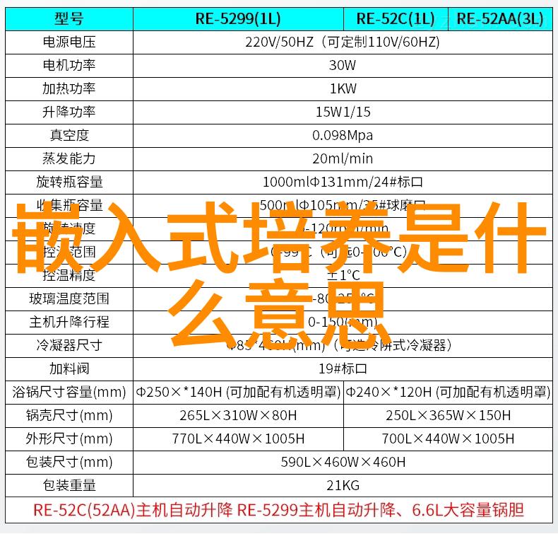 我与罗丹的对话我们聊艺术他谈创作