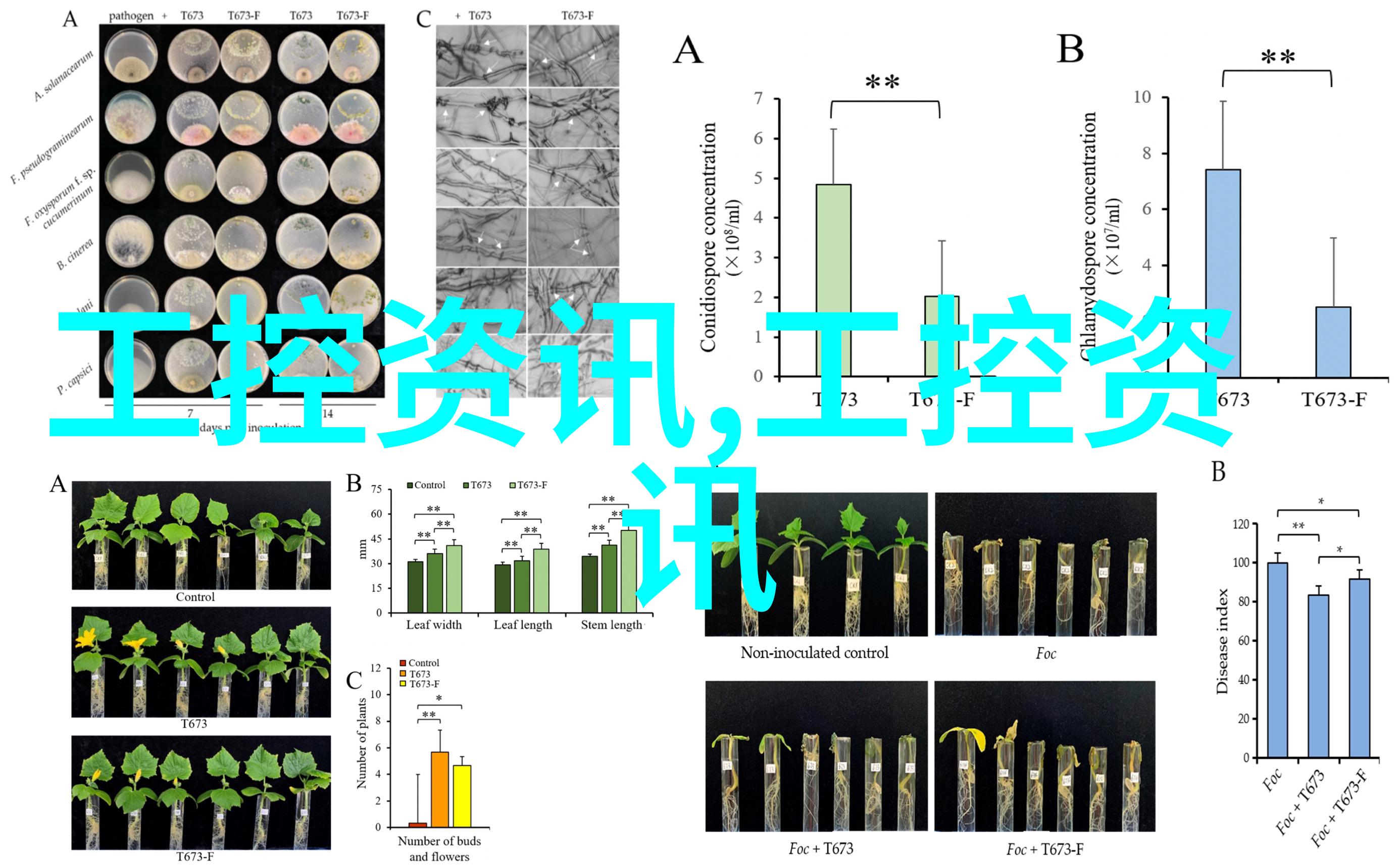 科隆电磁流量计代理代理商生产厂家 科隆电磁流量计