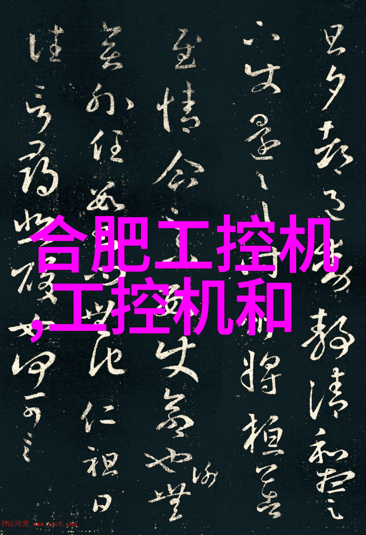 2023索尼世界摄影大赛-镜头见证2023索尼全球光影盛宴