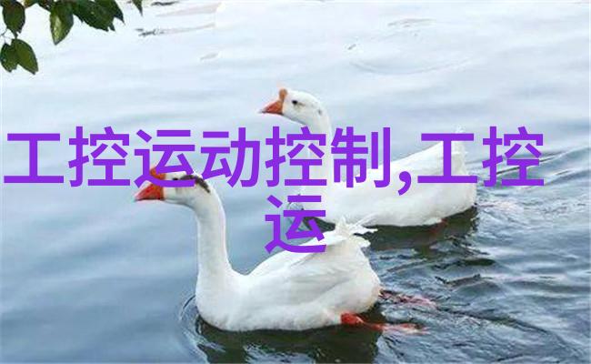 骑蛇难下双海棠书院秘密之谜