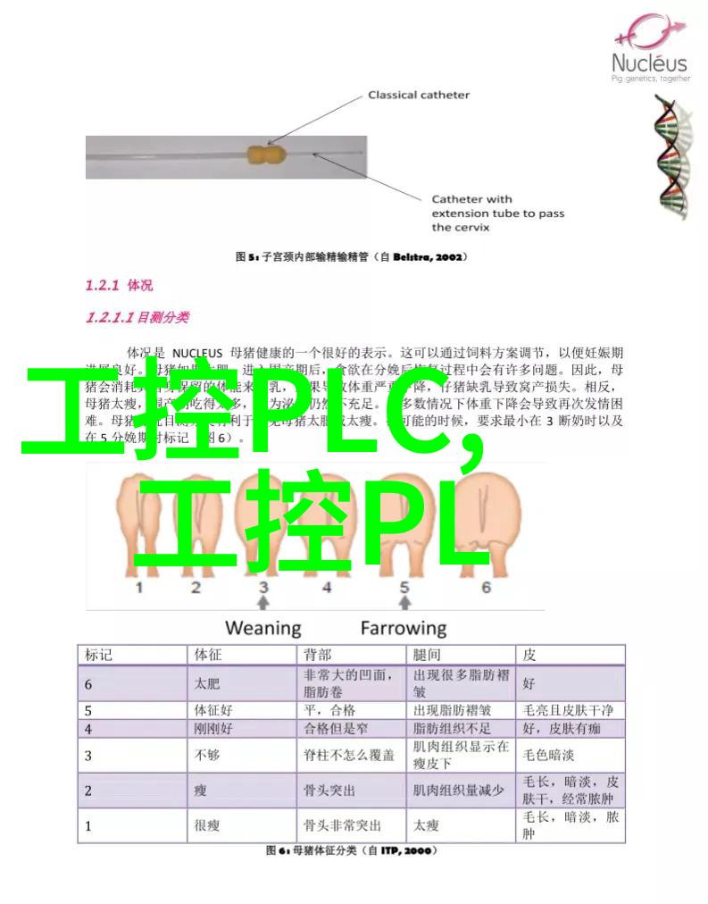 生产精灵机器之心的跳动