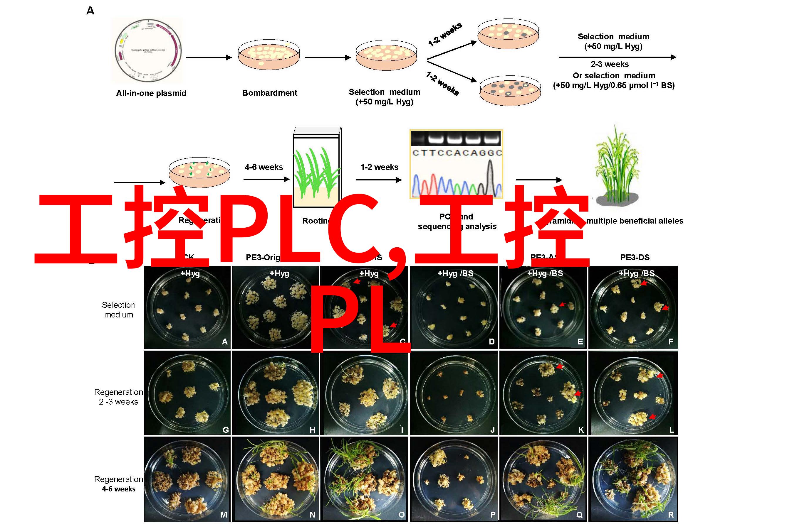 创新技术推动工业涂料绿色升级立邦自研无铬底漆已获宝武集团认证