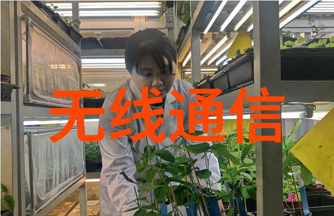 苏宁发布07高清彩电普及