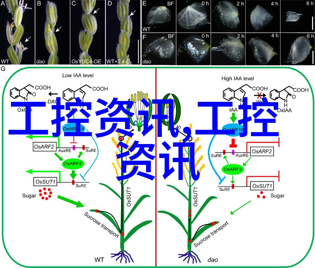 研华工控机u盘启动我来教你怎么在研华的工控机上用U盘启动系统了