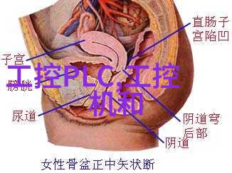 BD日本探索两位摄影师的视觉奇观