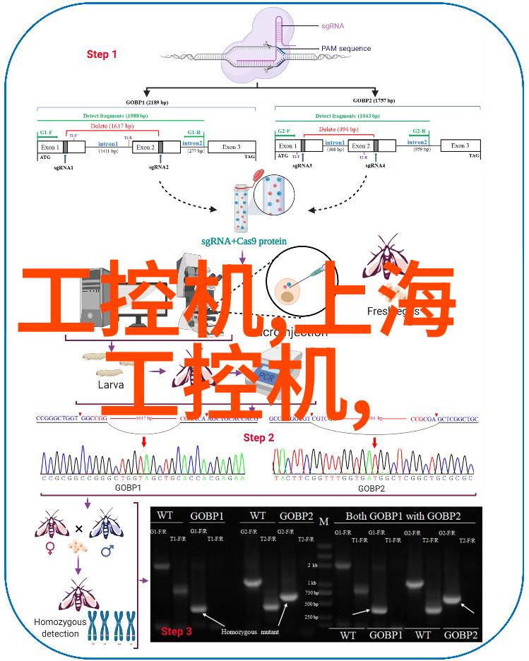 夏日游戏伙伴八大智能测试量表中的冰点散热背夹一加18W的解暑之选