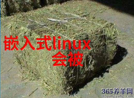 微波炉和烤箱的区别-高效用餐揭秘微波炉与烤箱的工作原理与应用差异