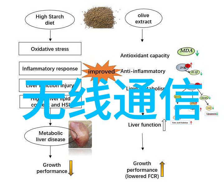 高压蒸汽灭菌操作指南